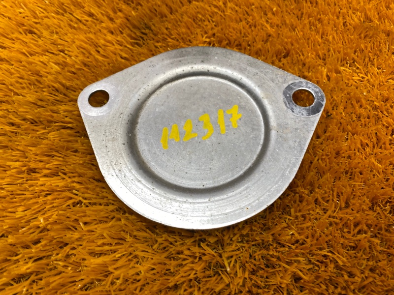 заглушка, 100 рублей, Красноярск