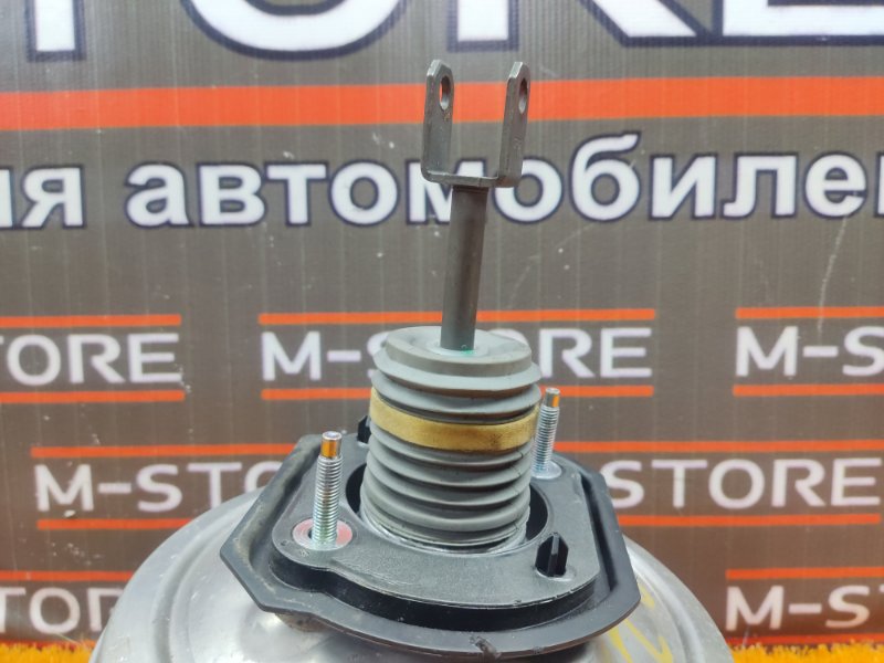 Вакуумный усилитель, 1000 рублей, Красноярск