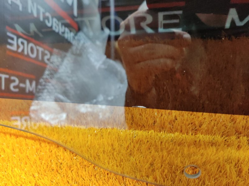 Стекло боковое, 540 рублей, Красноярск