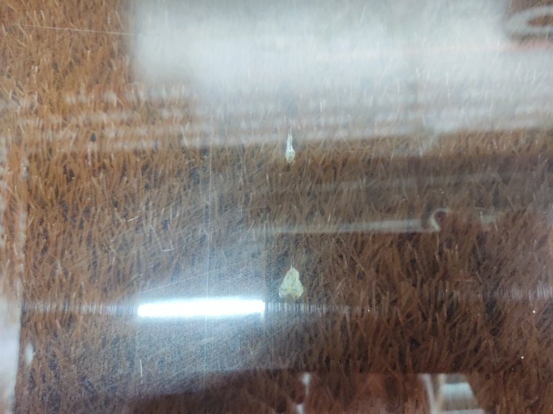 Стекло боковое, 670 рублей, Красноярск