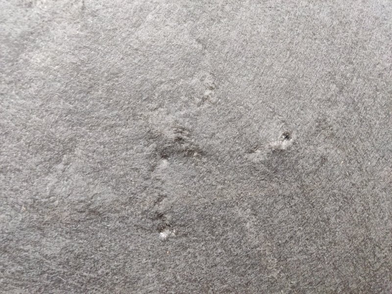 пол багажника, 2240 рублей, Красноярск