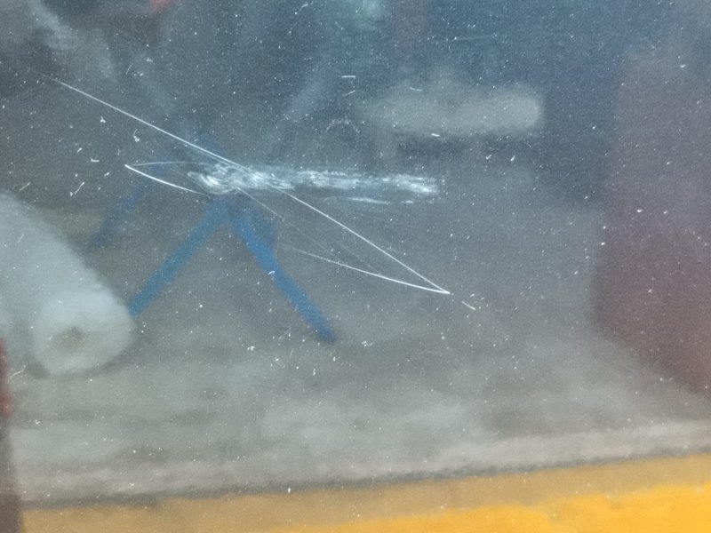 дверь, 11000 рублей, Красноярск