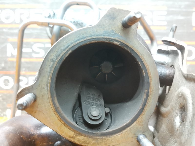 Турбина, 19630 рублей, Красноярск