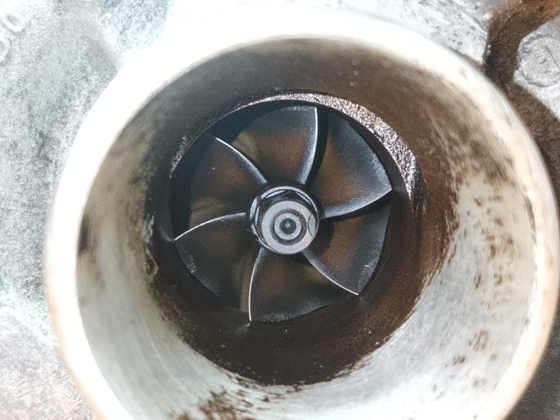 Турбина, 19630 рублей, Красноярск