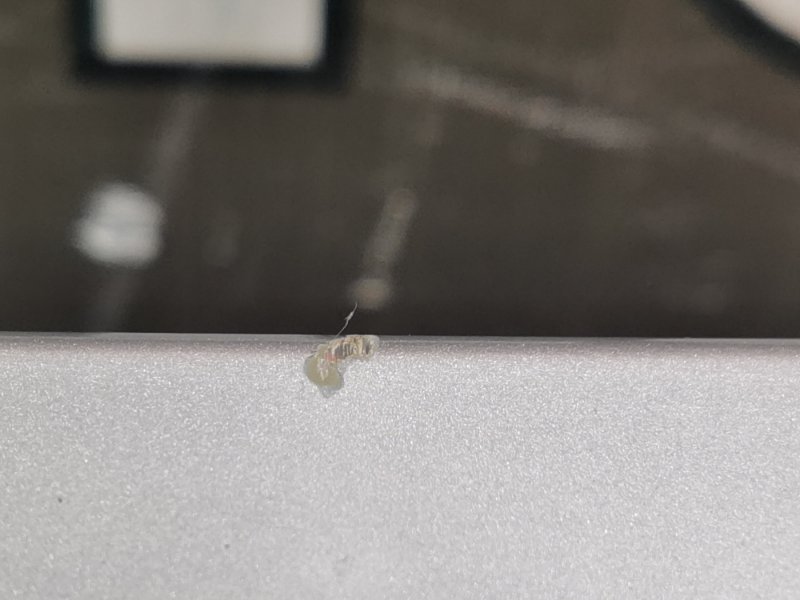 крышка багажника, 5000 рублей, Красноярск