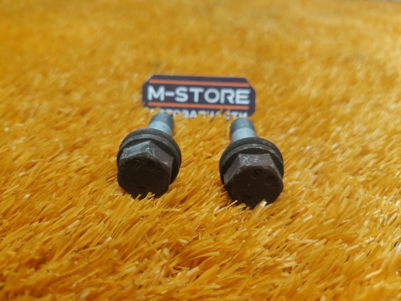 Болт суппорта, 100 рублей, Красноярск