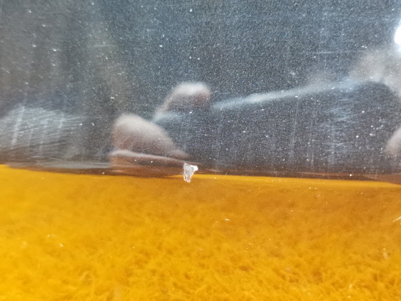 дверь, 4000 рублей, Красноярск