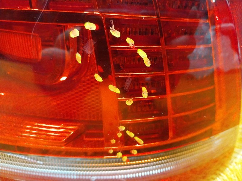 Фонарь задний, 7000 рублей, Красноярск