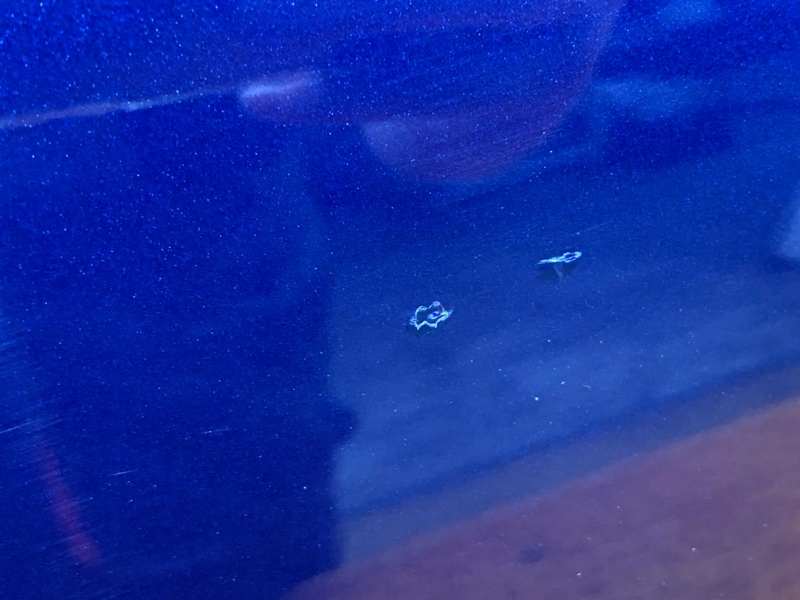 дверь, 12500 рублей, Красноярск