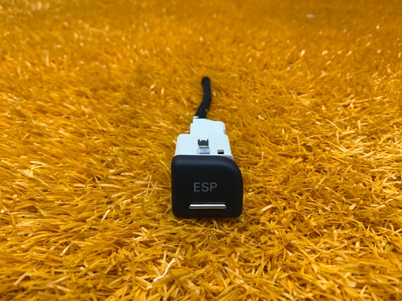 кнопка ESP, 300 рублей, Красноярск