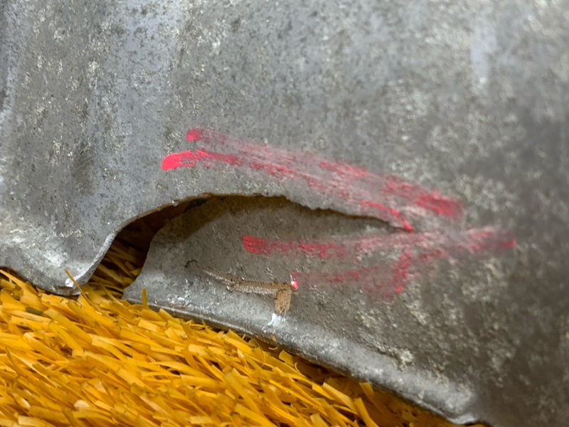 Пыльник шруса, 270 рублей, Красноярск