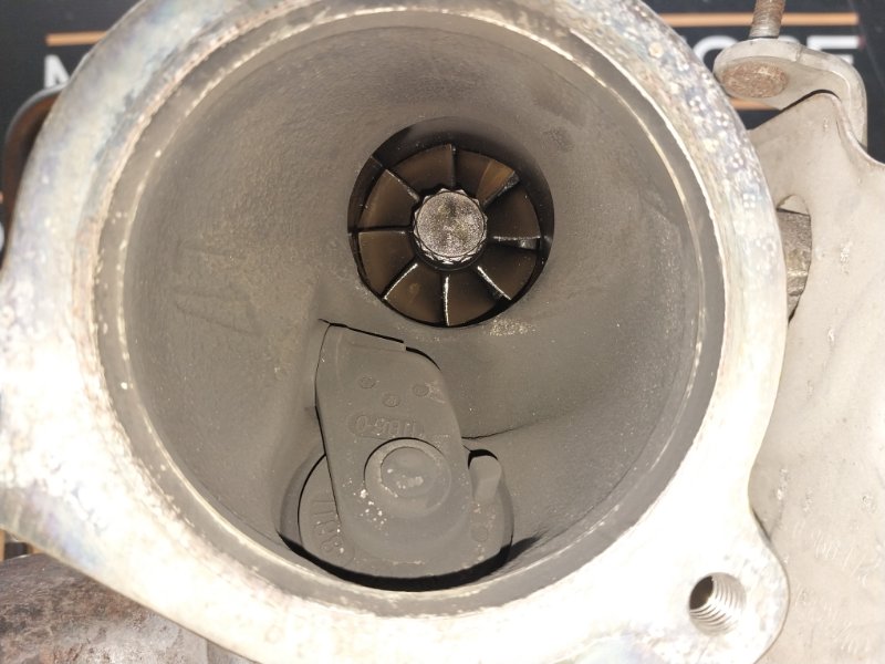 Турбина, 19000 рублей, Красноярск