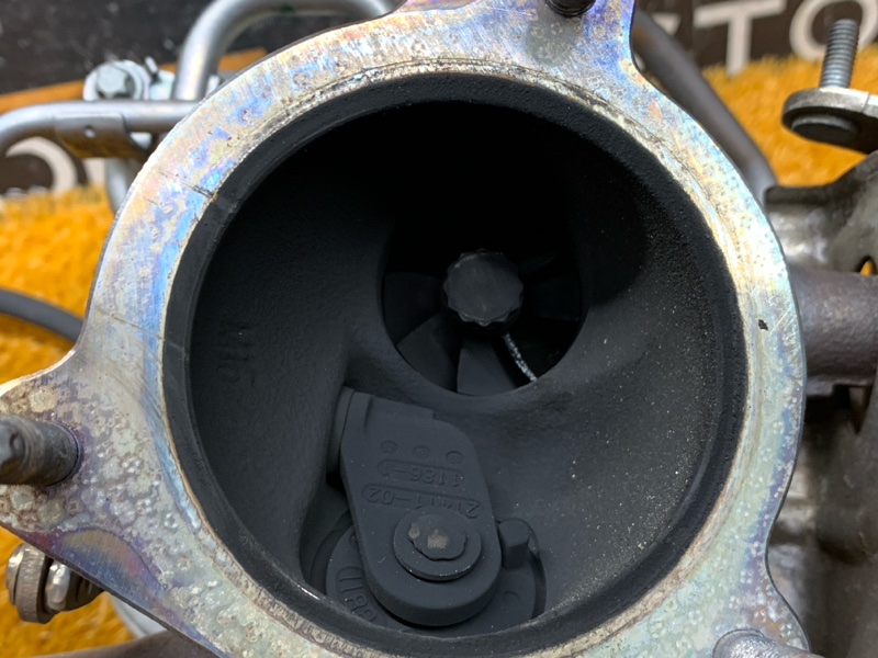 Турбина, 22150 рублей, Красноярск