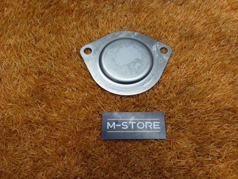 заглушка, 100 рублей, Красноярск