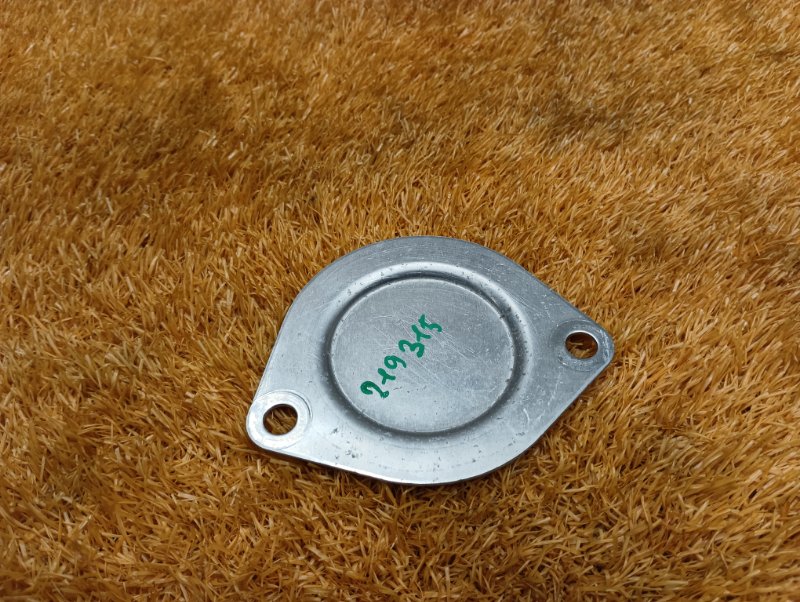 заглушка, 100 рублей, Красноярск