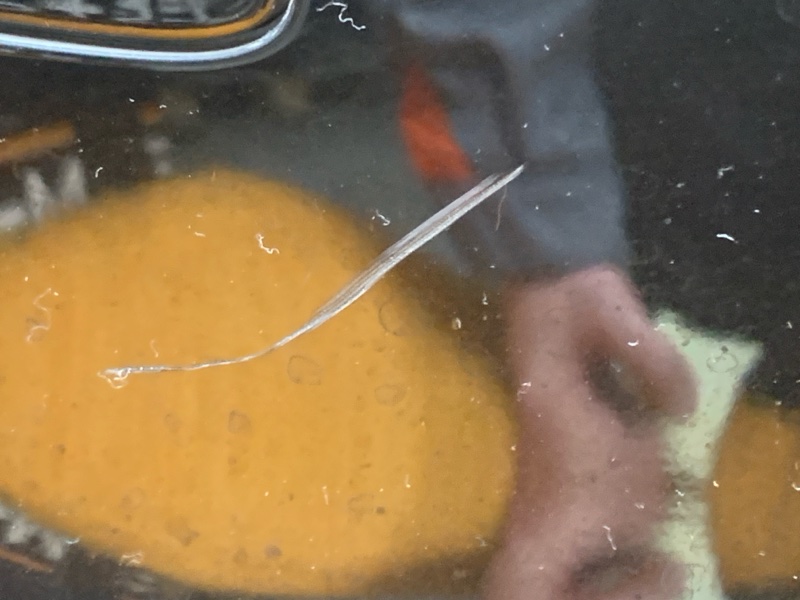 бампер, 63900 рублей, Красноярск