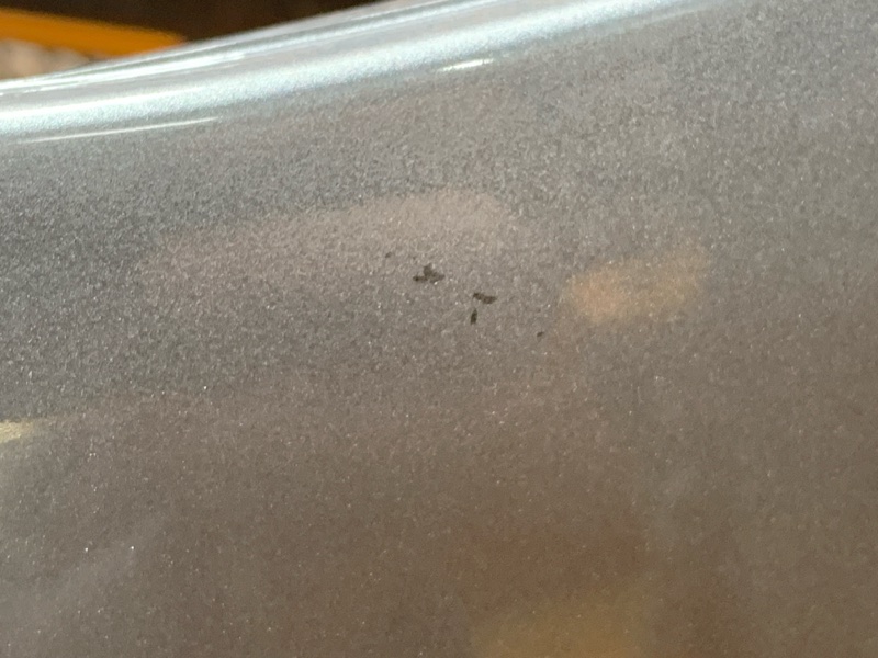 бампер, 4710 рублей, Красноярск