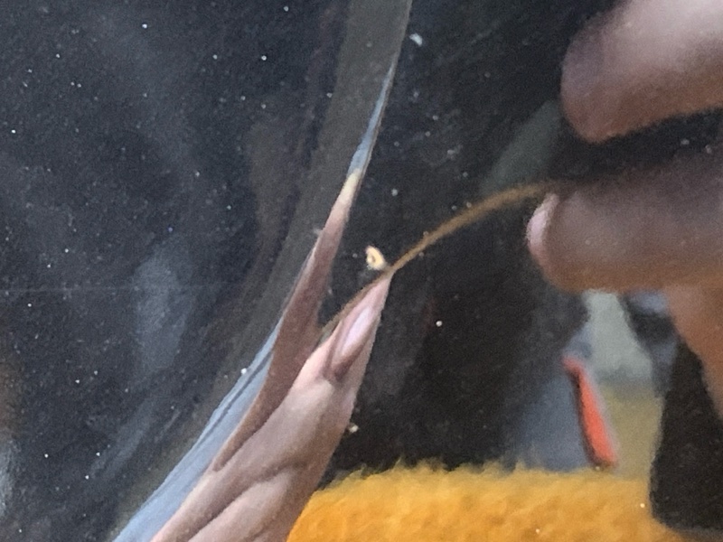 бампер, 64000 рублей, Красноярск