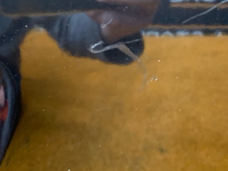 бампер, 64000 рублей, Красноярск