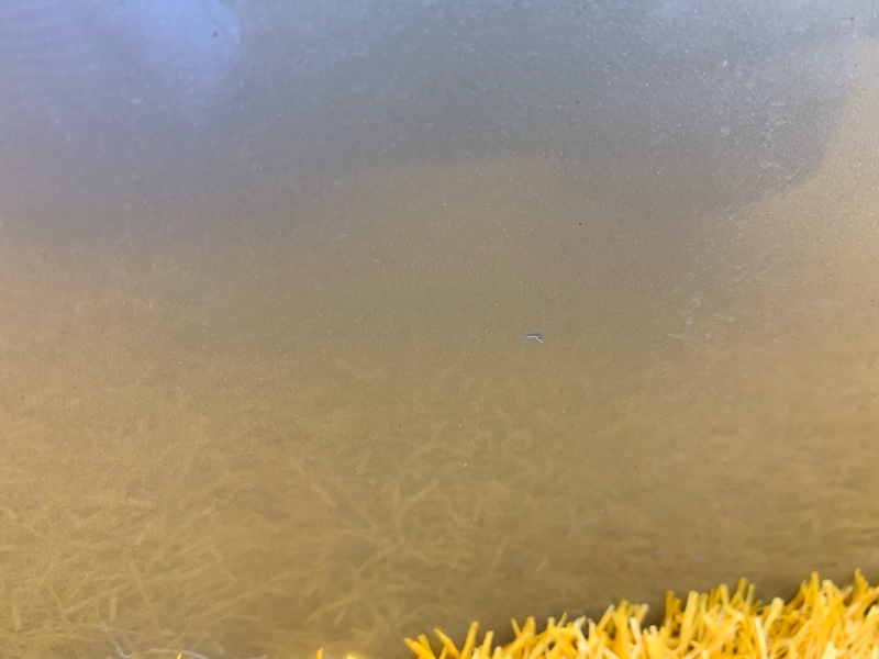 дверь, 18500 рублей, Красноярск