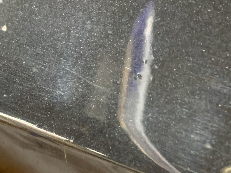 дверь, 19000 рублей, Красноярск