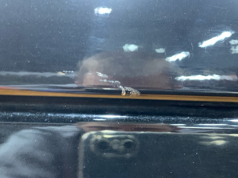 дверь, 7000 рублей, Красноярск