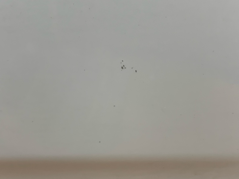 бампер, 33990 рублей, Красноярск