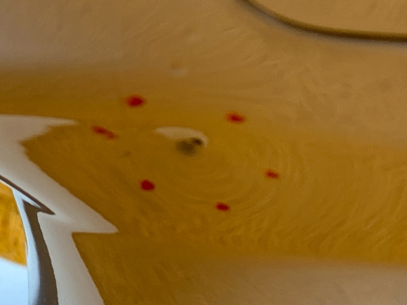 бампер, 33990 рублей, Красноярск