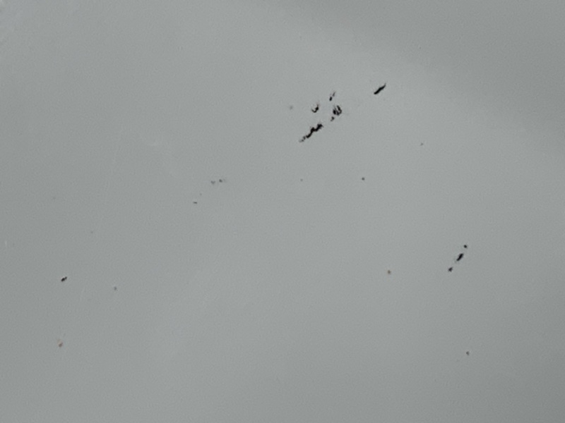 бампер, 16500 рублей, Красноярск