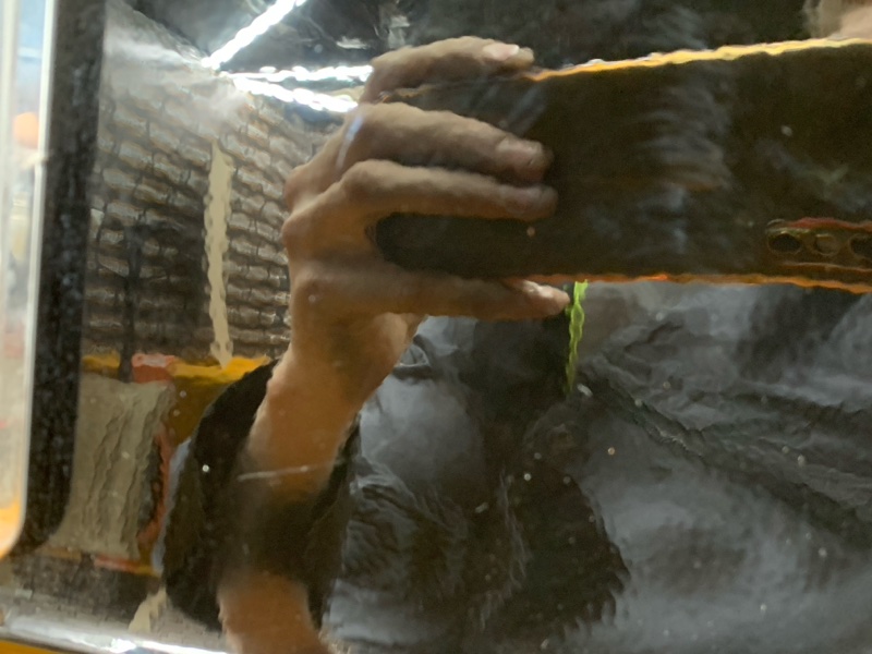 Крышка (дверь) багажника, 23000 рублей, Красноярск