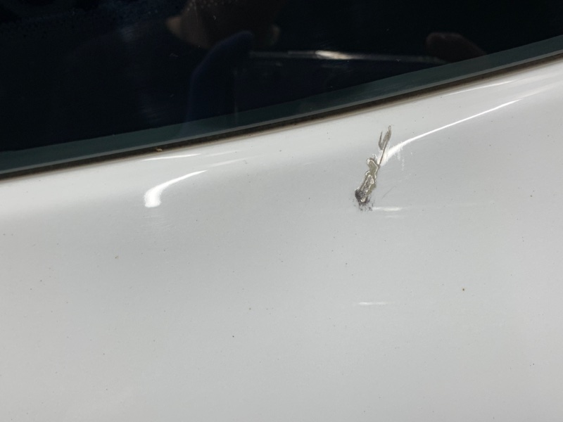 Крышка (дверь) багажника, 20000 рублей, Красноярск