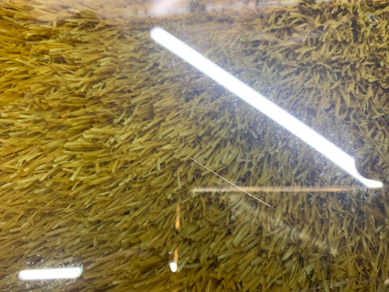 Стекло боковое, 700 рублей, Красноярск