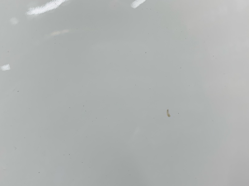 капот, 70000 рублей, Красноярск