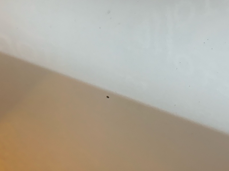 бампер, 8000 рублей, Красноярск