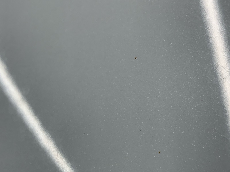 капот, 27390 рублей, Красноярск