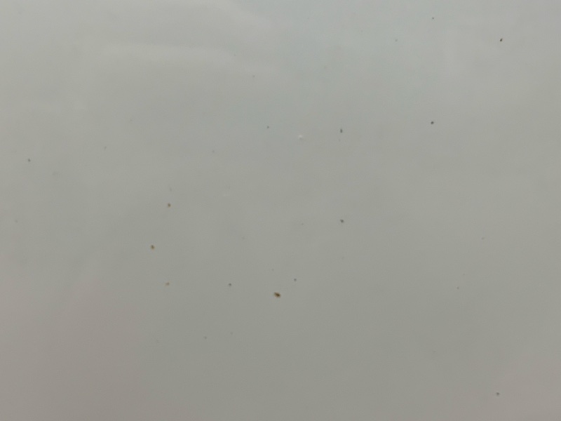 дверь, 10000 рублей, Красноярск