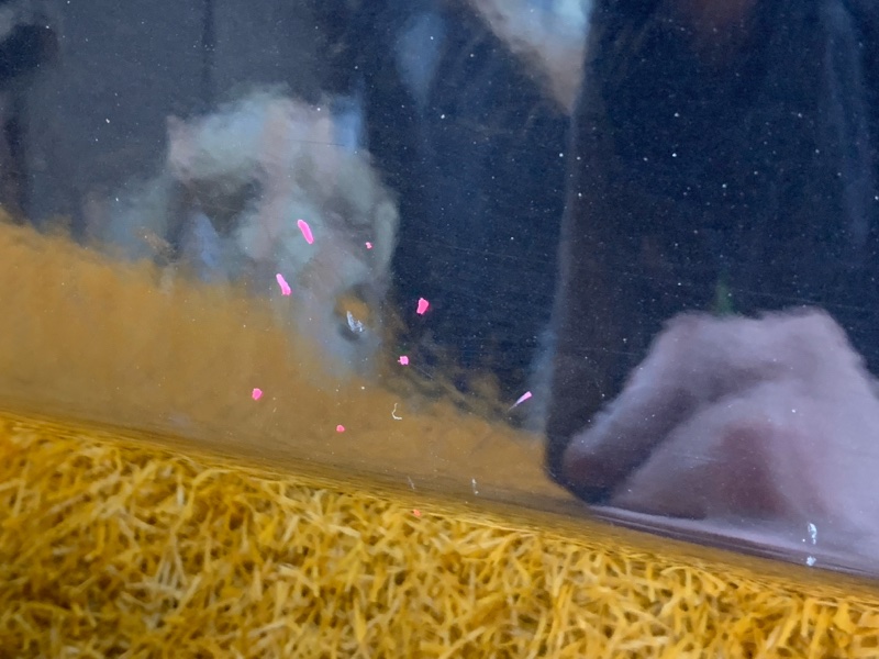 дверь, 7000 рублей, Красноярск