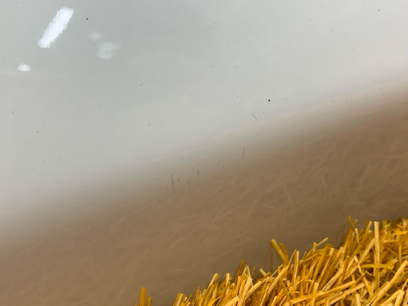 дверь, 16440 рублей, Красноярск