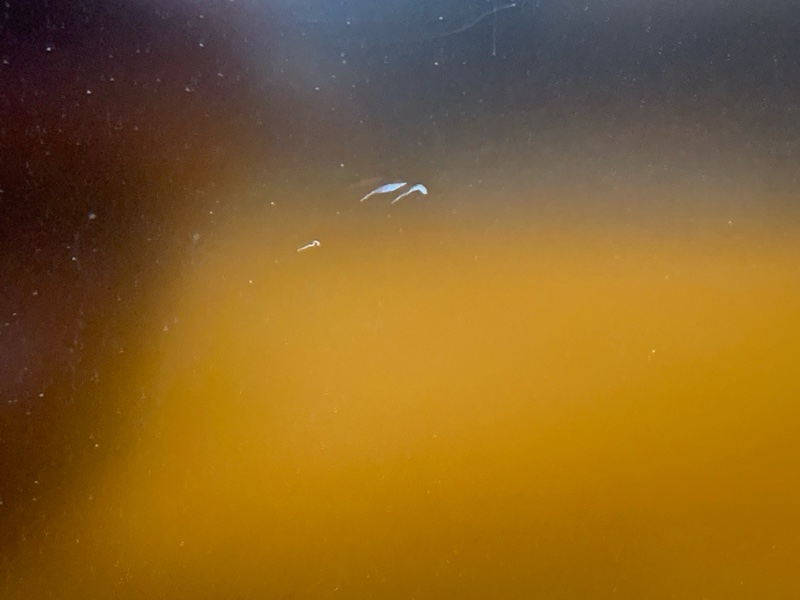 Магнитола, 8000 рублей, Красноярск