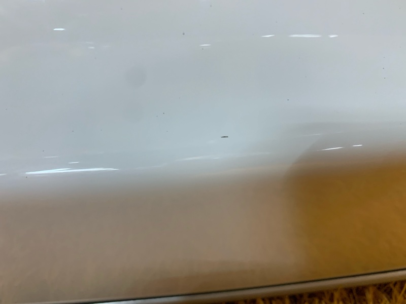 Крышка (дверь) багажника, 17000 рублей, Красноярск