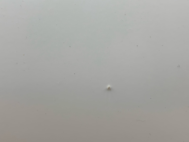 бампер, 5000 рублей, Красноярск