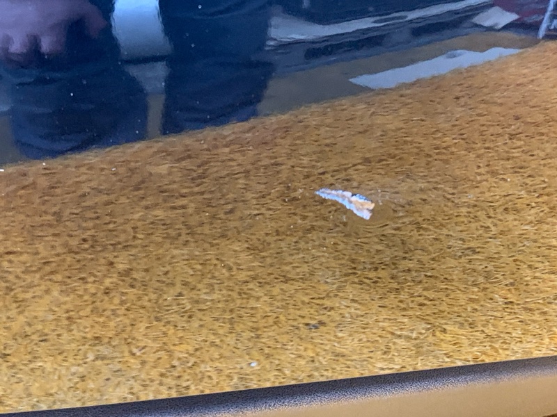 бампер, 5000 рублей, Красноярск