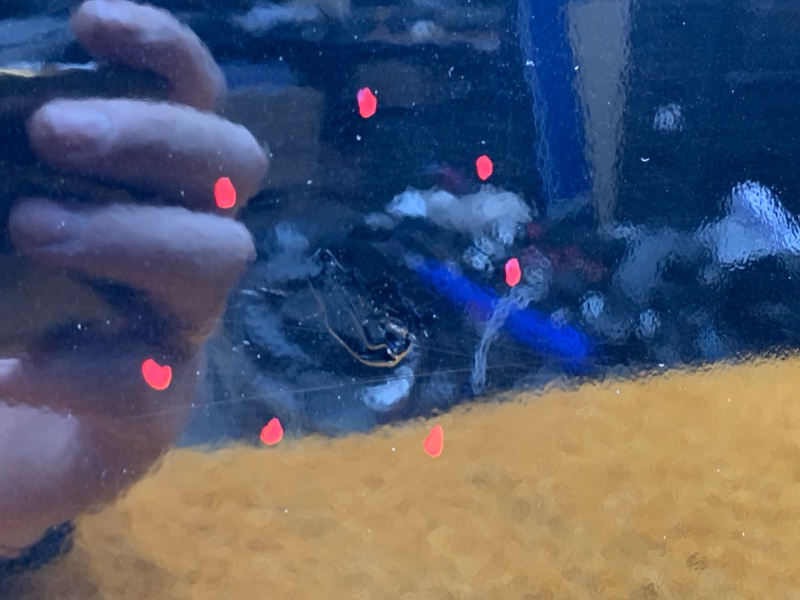 дверь, 8000 рублей, Красноярск