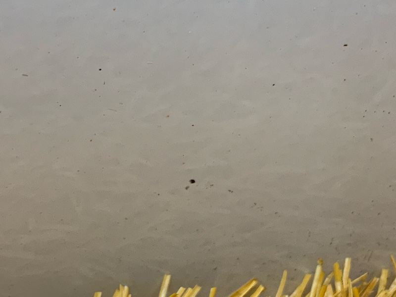 дверь, 21010 рублей, Красноярск