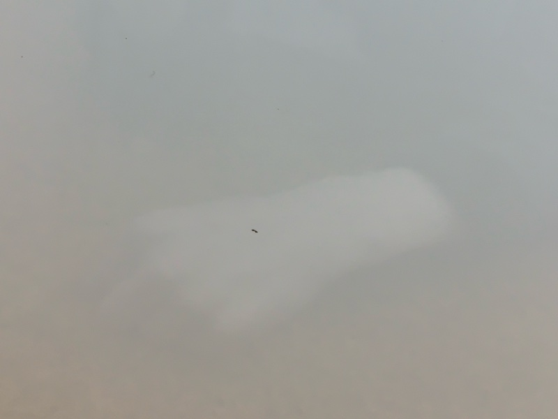 дверь, 26000 рублей, Красноярск