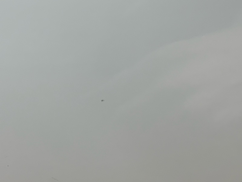 дверь, 16000 рублей, Красноярск