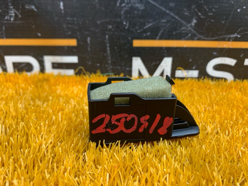 Монетница, 300 рублей, Красноярск