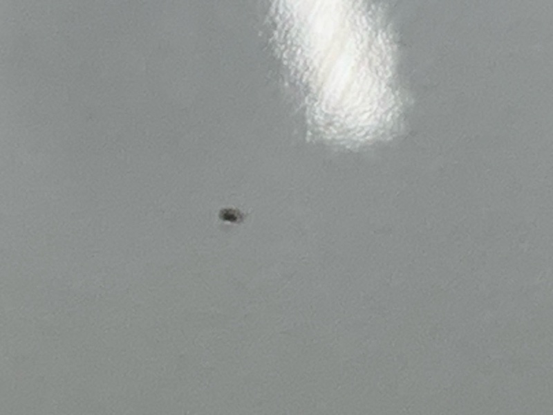 капот, 25000 рублей, Красноярск