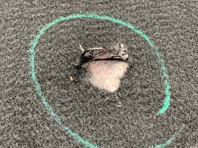 пол багажника, 870 рублей, Красноярск