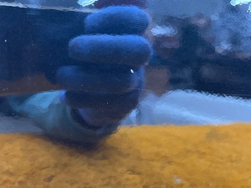 дверь, 12000 рублей, Красноярск